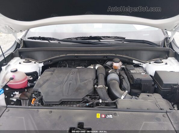 5XYRKDJFXRG290041 2024 KIA SORENTO White Widok z tyłu