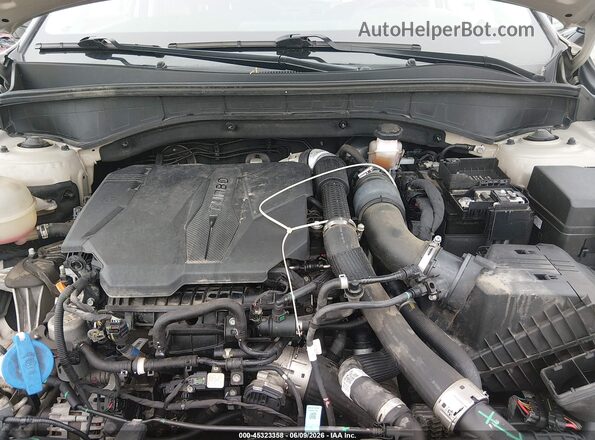 5XYRKDLF2MG030495 2021 KIA SORENTO Tan Widok z tyłu
