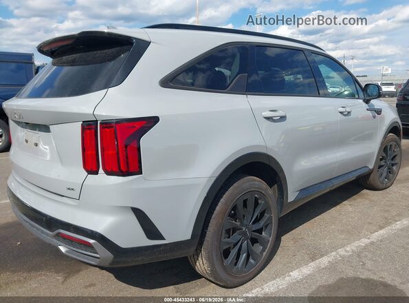 5XYRKDLF2PG196102 2023 KIA SORENTO Gray Tył prawy