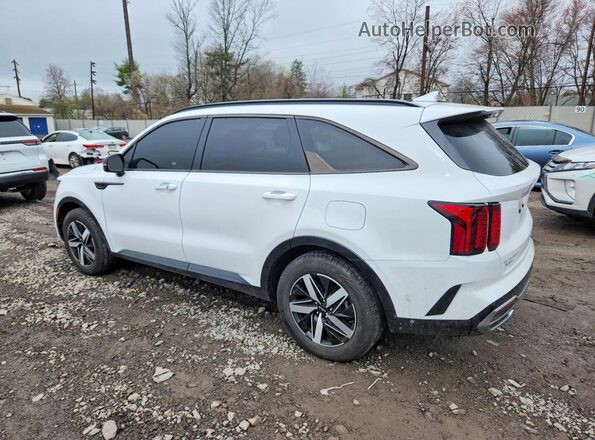 5XYRL4LC4PG164383 2023 KIA SORENTO White უკანა მარცხენა
