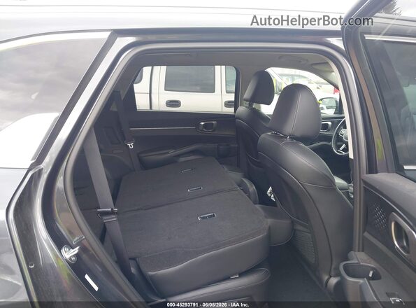 5XYRLDJC1RG256184 2024 KIA SORENTO Синий Вид наклейки с VIN-кодом