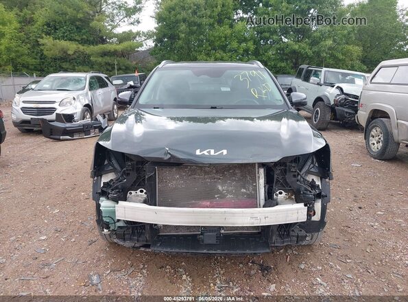 5XYRLDJC1RG256184 2024 KIA SORENTO Синий Вид задней части салона