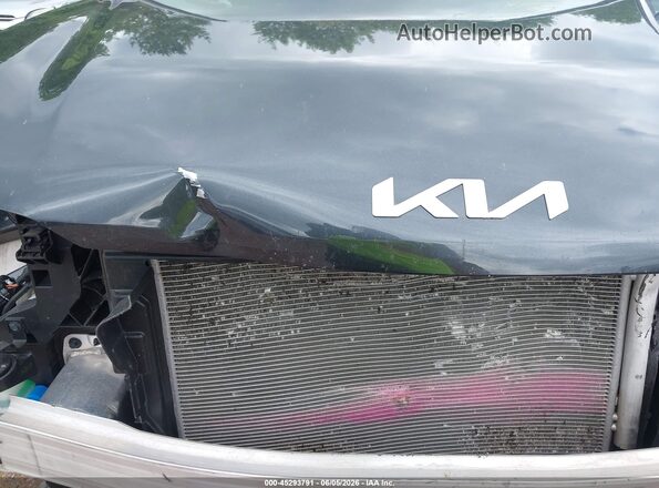 5XYRLDJC1RG256184 2024 KIA SORENTO Синий 