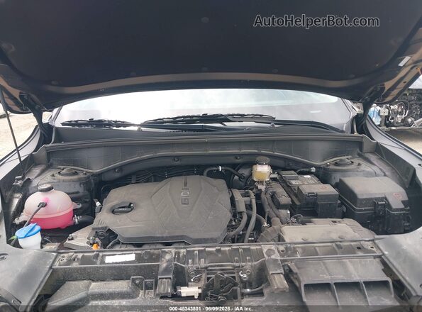 5XYRLDJC6SG362541 2025 KIA SORENTO Black Вид ззаду