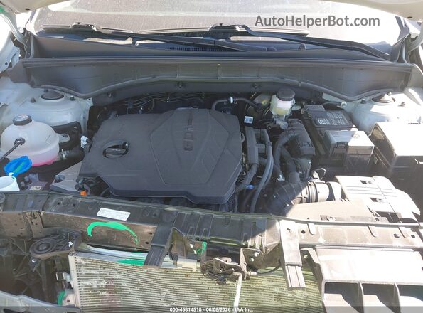 5XYRLDJC8TG431442 2026 KIA SORENTO Gray Widok z tyłu