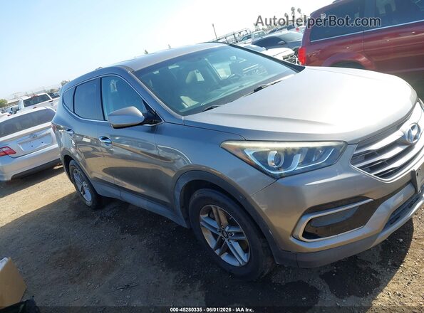 5XYZTDLB2HG443971 2017 HYUNDAI SANTA FE SPORT Gray Widok wnętrza z tyłu