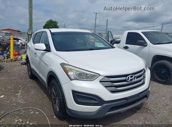 5XYZTDLB7GG352287 2016 HYUNDAI SANTA FE SPORT Белый 