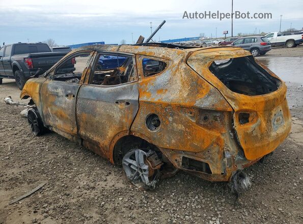 5XYZUDLB5HG436641 2017 HYUNDAI SANTA Burn უკანა მარცხენა