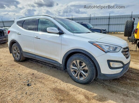 5XYZUDLB6GG350771 2016 HYUNDAI SANTA White 