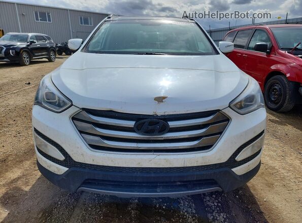 5XYZUDLB6GG350771 2016 HYUNDAI SANTA White 