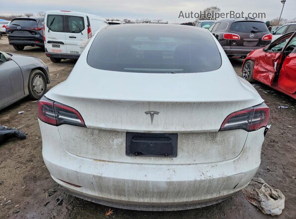 5YJ3E1EAXPF623353 2023 TESLA MODEL Белый Вид сзади
