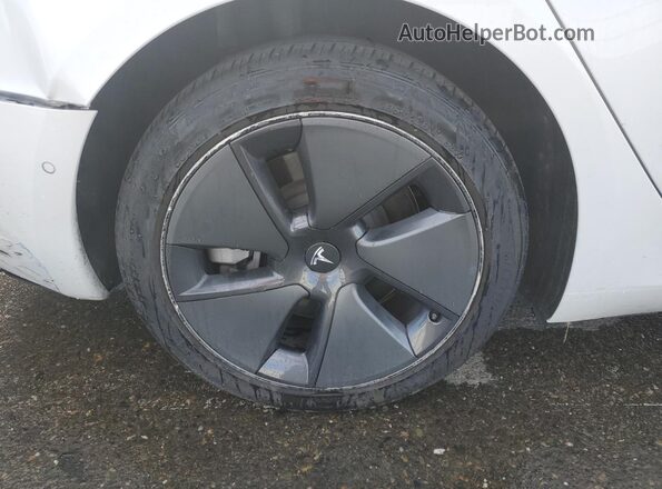 5YJ3E1EB0NF259546 2022 TESLA MODEL White 