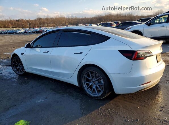 5YJ3E1EB0PF637304 2023 TESLA MODEL White 