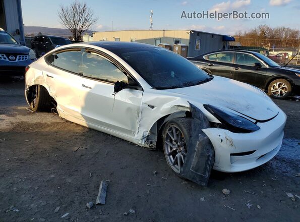5YJ3E1EB0PF637304 2023 TESLA MODEL White 
