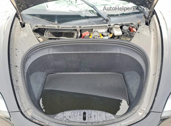 5YJ3E1EB2KF384205 2019 TESLA MODEL Black 