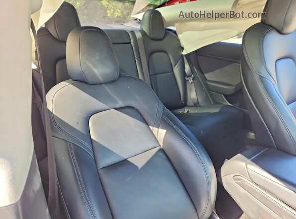 5YJ3E1EB2MF085834 2021 TESLA MODEL Red Vista de los asientos traseros
