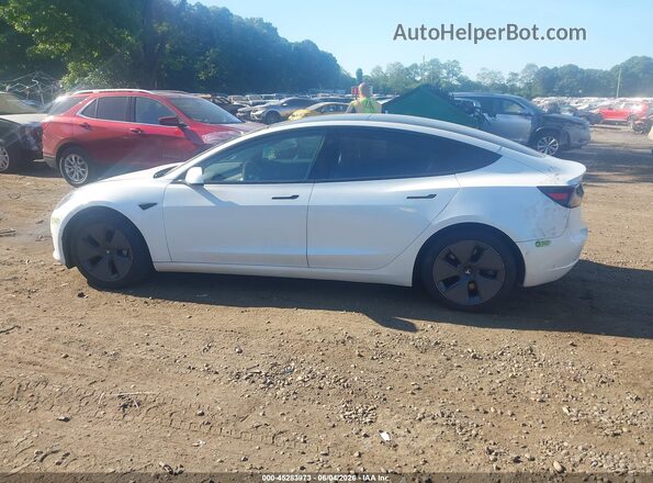 5YJ3E1EB3MF924793 2021 TESLA MODEL 3 White Սալոնի 360 աստիճան տեսք