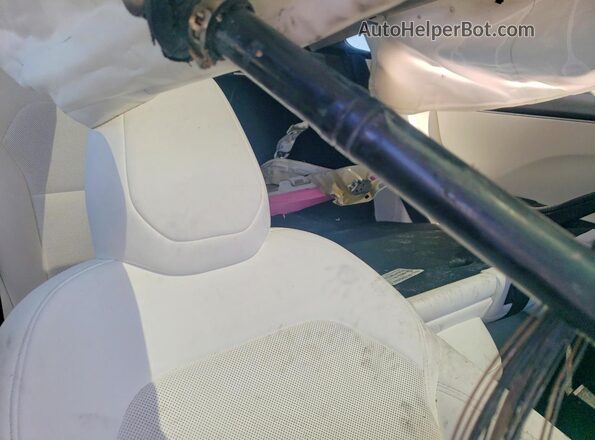 5YJ3E1EB3RF811031 2024 TESLA MODEL Розовый Вид задних сидений