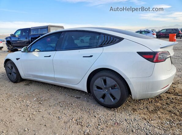 5YJ3E1EB5MF079803 2021 TESLA MODEL White უკანა მარცხენა