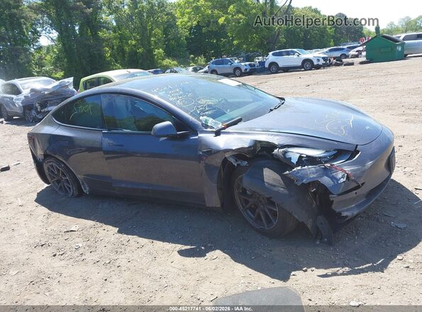 5YJ3E1EB5MF979195 2021 TESLA MODEL 3 Gray Widok wnętrza z tyłu