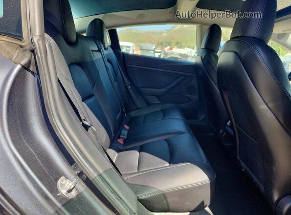 5YJ3E1EB6NF166515 2022 TESLA MODEL Gray Widok tylnych siedzeń