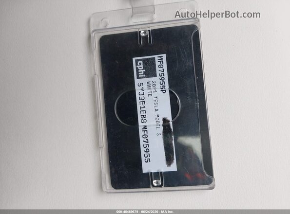 5YJ3E1EB8MF075955 2021 TESLA MODEL 3 Black Vista trasera