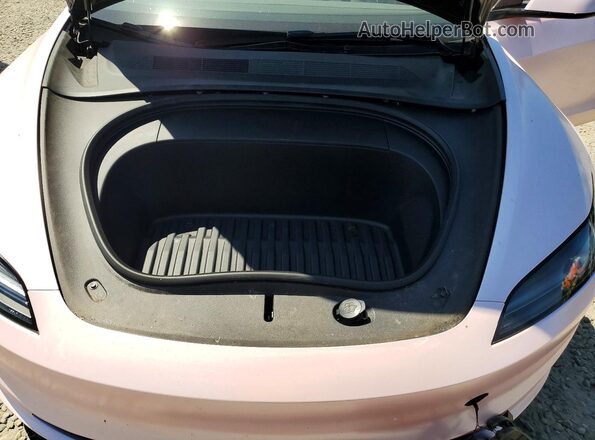5YJ3E1EB8RF750856 2024 TESLA MODEL Розовый Вид задней части салона