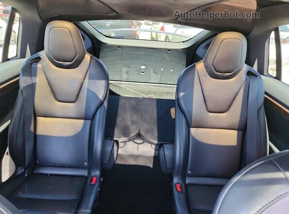 5YJXCBE28MF322520 2021 TESLA MODEL Blue Հետևի նստատեղերի տեսք