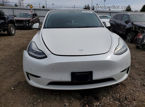5YJYGAEE3MF191025 2021 TESLA MODEL Белый Вид спереди