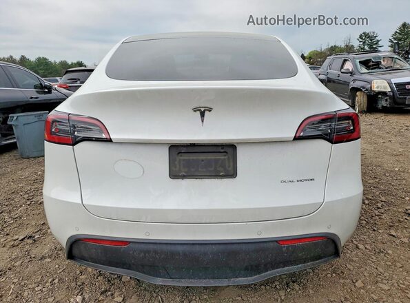 5YJYGAEE3MF191025 2021 TESLA MODEL Белый Вид сзади