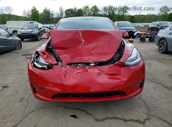 5YJYGDED9MF116645 2021 TESLA MODEL Red 