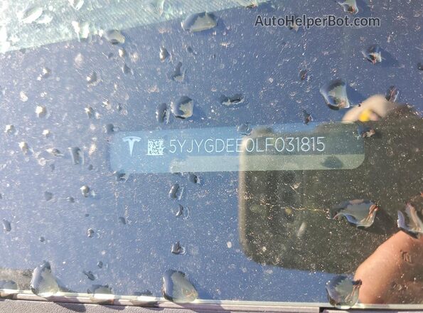 5YJYGDEE0LF031815 2020 TESLA MODEL Blue 
