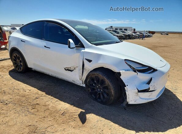5YJYGDEE2LF041889 2020 TESLA MODEL White 