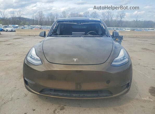 5YJYGDEE2LF046929 2020 TESLA MODEL Tan 