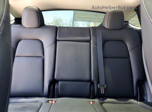 5YJYGDEE3LF055400 2020 TESLA MODEL Синий Вид задних сидений