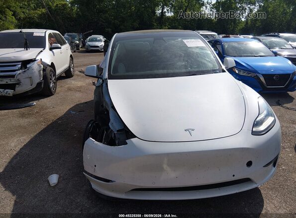 5YJYGDEE3MF196694 2021 TESLA MODEL Y White Вид спереду
