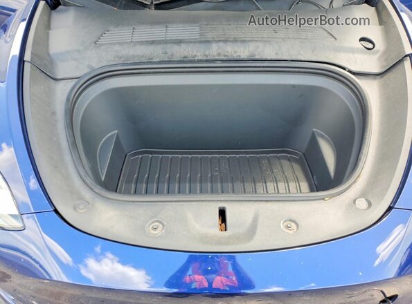 5YJYGDEE4MF207363 2021 TESLA MODEL Blue Սալոնի հետևի տեսք