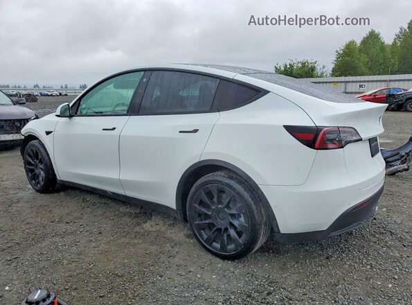 5YJYGDEE6MF143827 2021 TESLA MODEL White Հետևի ձախ