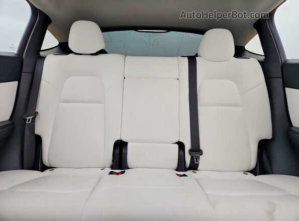 5YJYGDEE6MF230773 2021 TESLA MODEL Red Հետևի նստատեղերի տեսք
