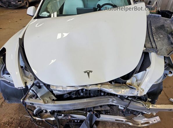 5YJYGDEE6MF246682 2021 TESLA MODEL Gray Շարժիչի բաժամունքի տեսք