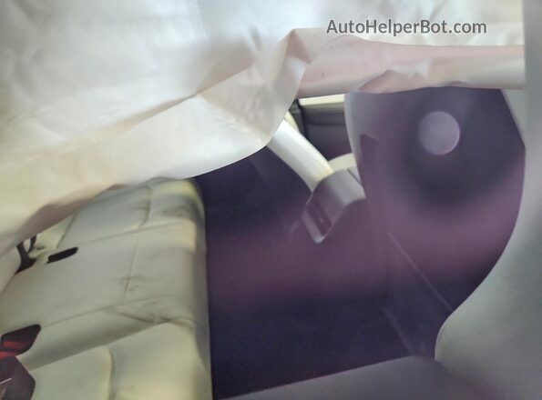 5YJYGDEE6MF246682 2021 TESLA MODEL Gray Սալոնի հետևի տեսք