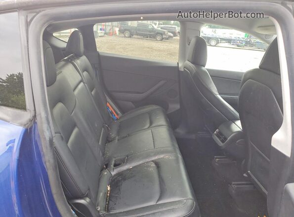 5YJYGDEE8MF074560 2021 TESLA MODEL Blue Հետևի նստատեղերի տեսք