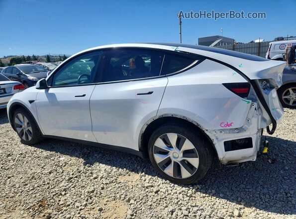 5YJYGDEE8MF181009 2021 TESLA MODEL White უკანა მარცხენა
