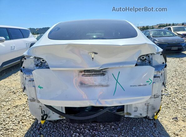 5YJYGDEE8MF181009 2021 TESLA MODEL White უკანა ხედი