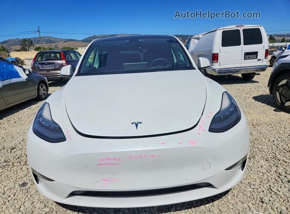 5YJYGDEE8MF181009 2021 TESLA MODEL White წინა ხედი