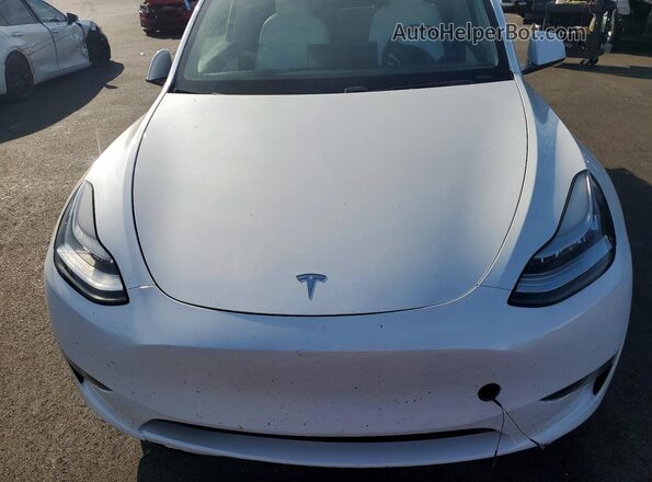 5YJYGDEE9LF034292 2020 TESLA MODEL Белый Вид задней части салона