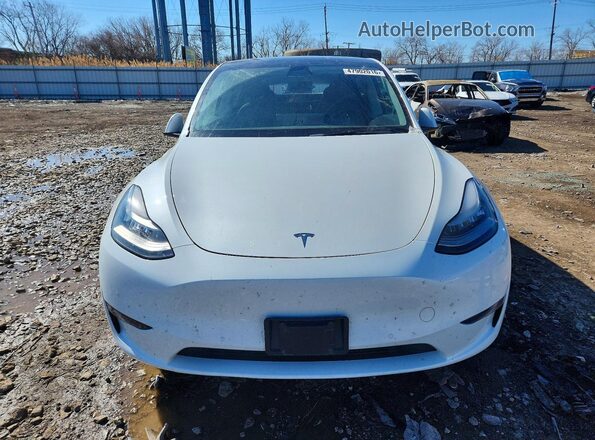 5YJYGDEE9MF140064 2021 TESLA MODEL White წინა ხედი
