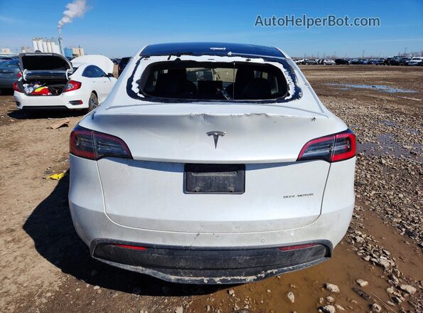 5YJYGDEE9MF140064 2021 TESLA MODEL White უკანა ხედი
