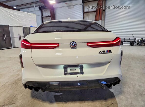 5YMCY0C02P9R55493 2023 BMW X6 White Widok z tyłu