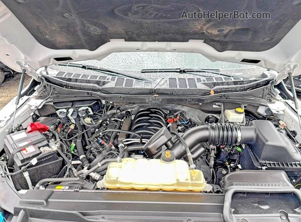 1FTFW1E53PFB25777 2023 FORD F150 White 